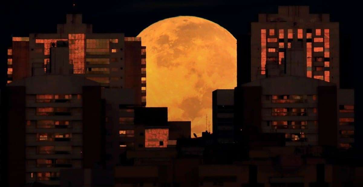 349122_17.jpg